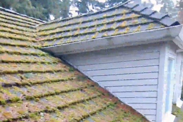 Roof Cleaning Company near me In Vancouver WA 11